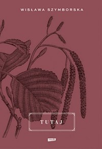 Tutaj - Grądziel-Wójcik Joanna - książka