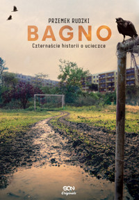 Bagno. Czternaście historii o ucieczce - Przemek Rudzki - ebook