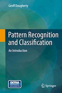 Pattern Recognition and Classification - Geoff Dougherty - ebook