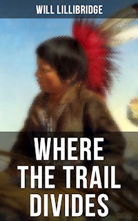 Where the Trail Divides - Lillibridge Will - ebook