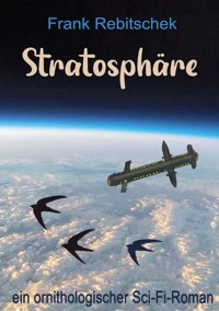 Stratosphäre - Frank Rebitschek - ebook