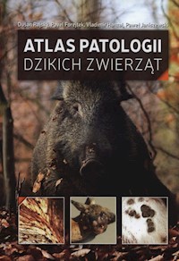 Atlas patologii dzikich zwierząt - Rajský Dusan,. Forejtek Pavel, Hanzal Vladimir, Janiszewski Paweł - książka