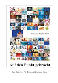 Auf den Punkt gebracht - Bernhard Neukirchner - ebook