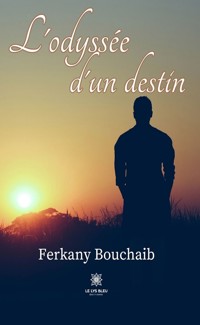 L’odyssée d’un destin - Ferkany Bouchaib - ebook