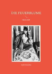 Die Feuerblume - André Schneider - ebook
