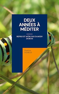 Deux Années à Méditer - Damien Siobud - ebook