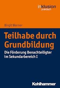 Teilhabe durch Grundbildung - Birgit Werner - ebook