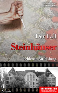 Der Fall Steinhäuser - Christian Lunzer - ebook