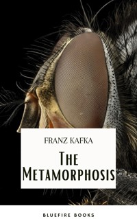 The Metamorphosis - Franz Kafka - ebook