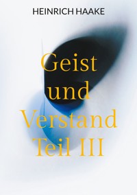 Geist und Verstand Teil III - Heinrich Haake - ebook