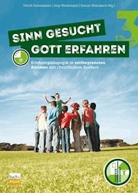 Sinn gesucht – Gott erfahren 3 -  - ebook