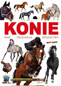 Konie rasy pielęgnacja jeździectwo - Werner Joanna - książka