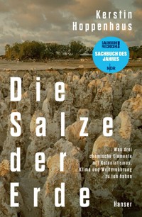 Die Salze der Erde - Kerstin Hoppenhaus - ebook