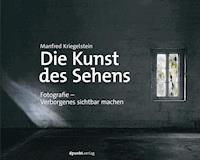 Die Kunst des Sehens - Manfred Kriegelstein - ebook