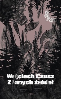 Z innych źródel - Wojciech Czusz - ebook