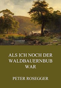 Als ich noch der Waldbauernbub war - Peter Rosegger - ebook