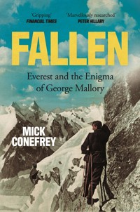 Fallen - Conefrey Mick - ebook