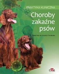 Choroby zakaźne psów Praktyka kliniczna - Gopegui Fernandez R.R. - książka