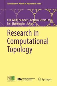 Research in Computational Topology -  - ebook