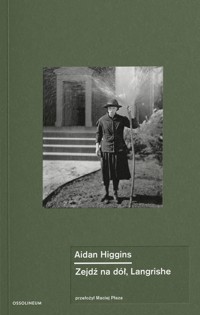 Zejdź na dół, Langrishe - Aidan Higgins - książka