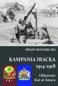 Kampania Iracka 1914-1918 - Moukbil Bej Mekin - książka