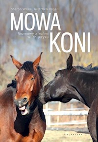 Mowa koni - Wilsie Sharon, Vogelt Gretchen - książka