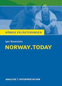 norway.today. Königs Erläuterungen. - Daniel Rothenbühler - ebook