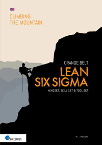 Lean Six Sigma Orange Belt - English version - ir. H.C. Theisens - ebook