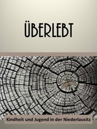 Überlebt - Marion Hein - ebook