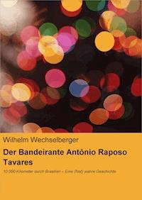 Der Bandeirante Antônio Raposo Tavares - Wilhelm Wechselberger - ebook