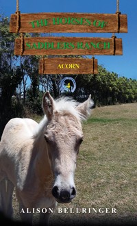 The Horses of Saddlers Ranch: Acorn - Alison Bellringer - ebook