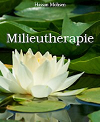 Milieutherapie - Hassan Mohsen - ebook