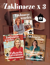 Zaklinacze x 3 - Maurice Ann - książka