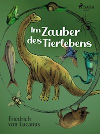 Im Zauber des Tierlebens - Friedrich von Lucanus - ebook