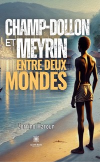 Champ-Dollon et Meyrin - Zorrino Haroun - ebook