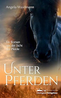 Unter Pferden - Angela Waidmann - ebook