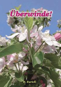 Überwinde - Harry Eurich - ebook