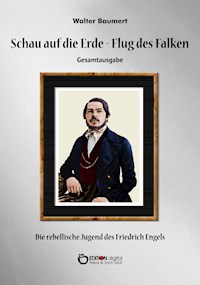 Schau auf die Erde – Der Flug des Falken. Gesamtausgabe - Walter Baumert - ebook