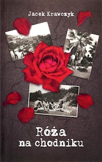Róża na chodniku - Krawczyk Jacek - książka