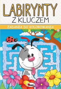Labirynty z kluczem. Zadania do kolorowania - zbiorowa praca - książka