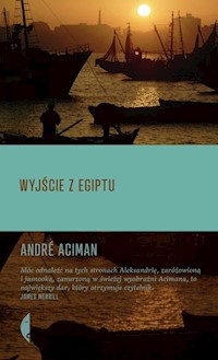 Wyjście z Egiptu - Aciman André - książka