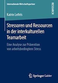 Stressoren und Ressourcen in der interkulturellen Teamarbeit - Katrin Leifels - ebook