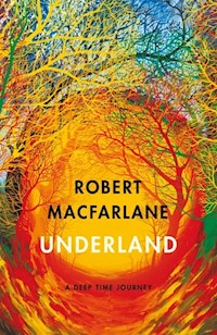 Underland - Robert Macfarlane - książka