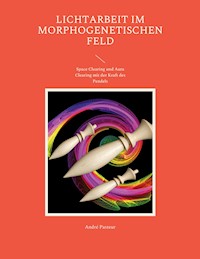 Lichtarbeit im morphogenetischen Feld - André Pasteur - ebook