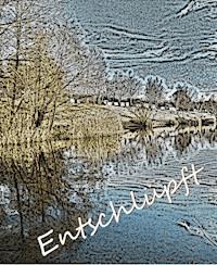 Entschlüpft - Cornelia Bienenstein-Hock - ebook