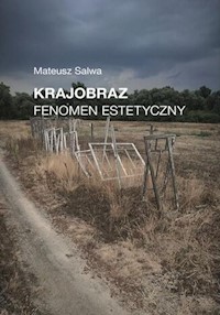 Krajobraz Fenomen estetyczny - Mateusz Salwa - książka