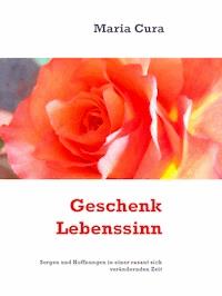 Geschenk Lebenssinn - Maria Cura - ebook