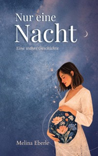 Nur eine Nacht - Melina Eberle - ebook