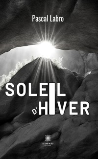 Soleil d’hiver - Pascal Labro - ebook