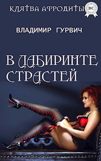 В лабиринте страстей - Владимир Гурвич - ebook